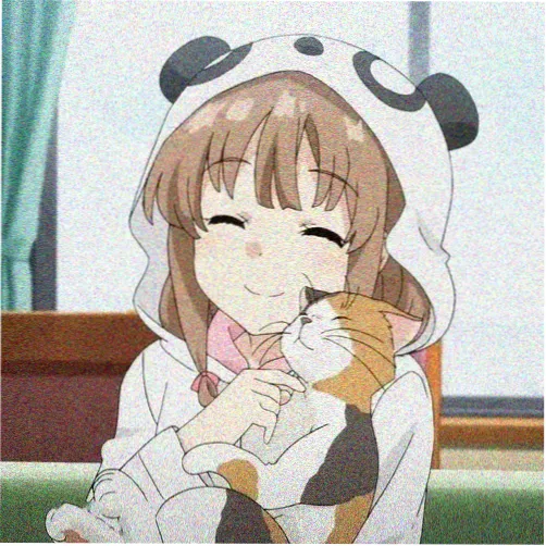 观众木木的头像